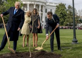 ¡Donald Trump tiene una doble al norte de España!