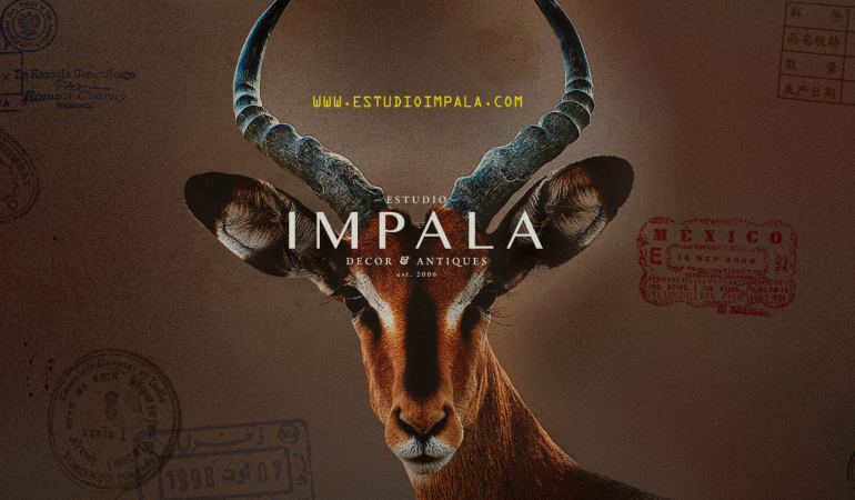 Laura Palma + Estudio Impala by Zamia Fandiño te invitan  ONDA THETA