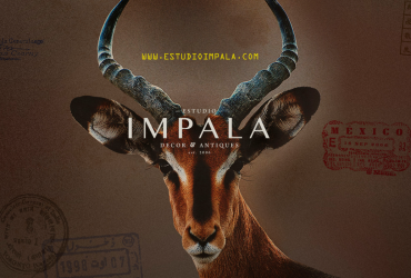 Laura Palma + Estudio Impala by Zamia Fandiño te invitan  ONDA THETA