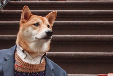 Un perro en Instagram usa trajes más caros que tú