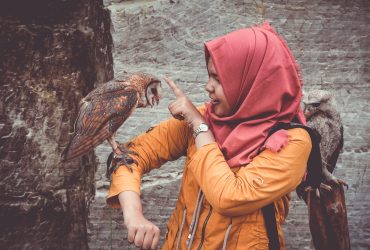 Is Your Pet Bird A Boy or Girl? Find Out Here!