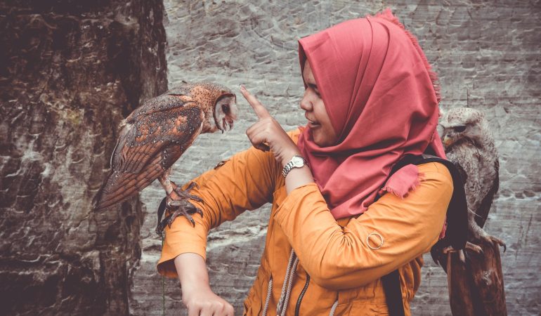 Is Your Pet Bird A Boy or Girl? Find Out Here!