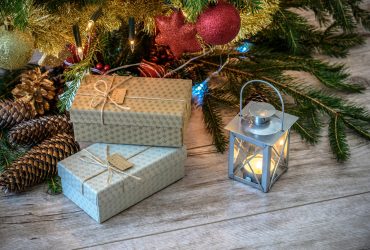 (UPDATED) No Joke: Israel to Dig Up Obama’s Gift Tree