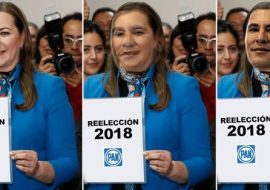11 memes que harán que no votes por Martha Erika